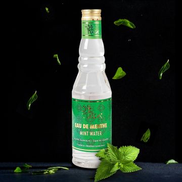 Terga Gastronomie Natural Glacial Mint Water, 300ml