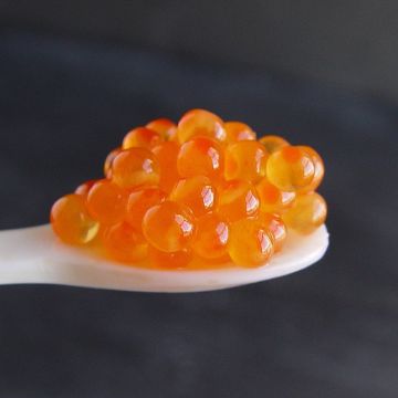 Trout Roe